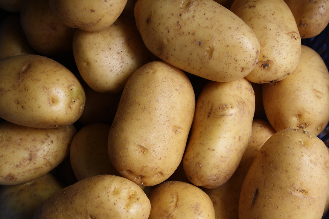 Why Potato Starch Powder is a Must-Have Gluten-Free Ingredient