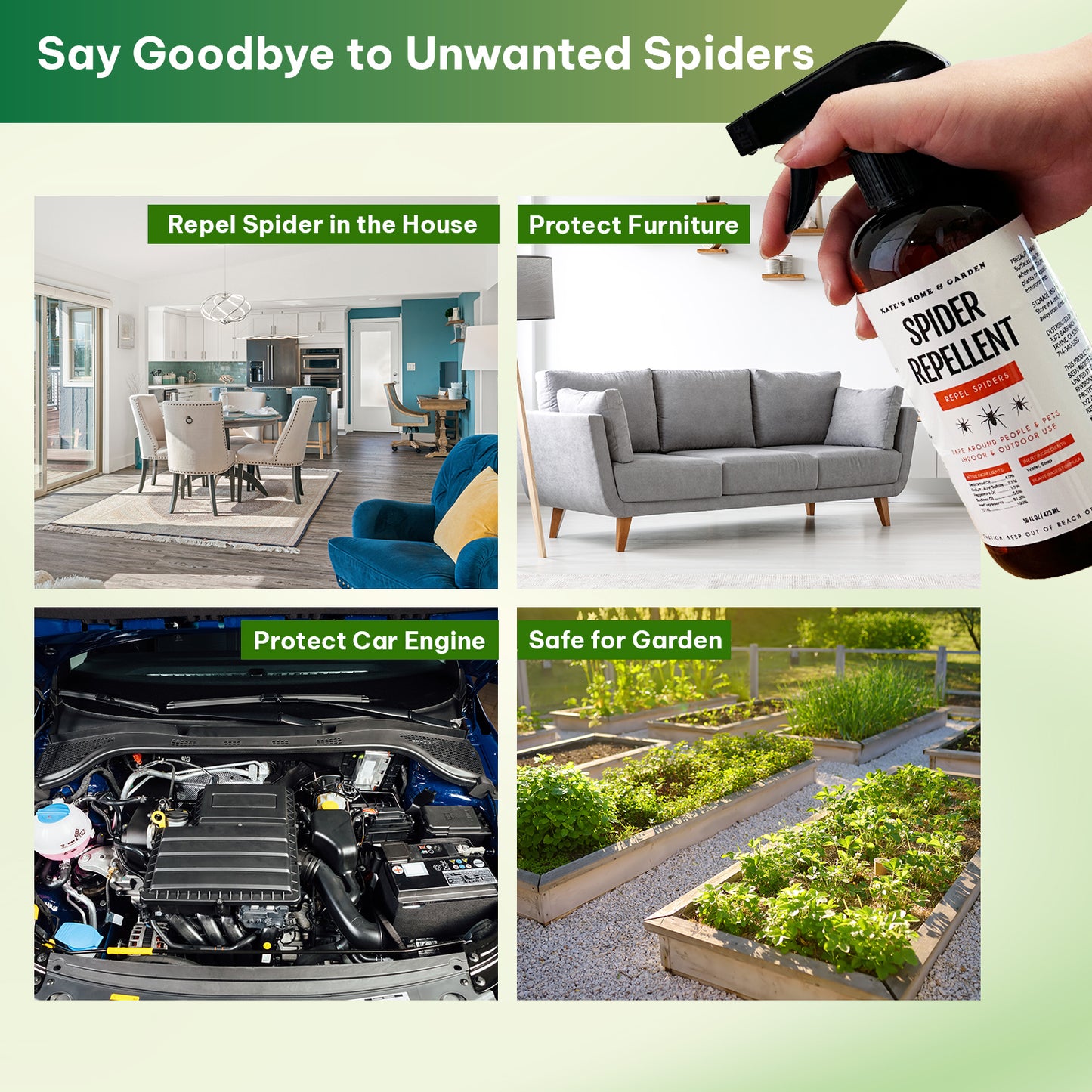 Spider Repellent with Peppermint Oil - 16oz