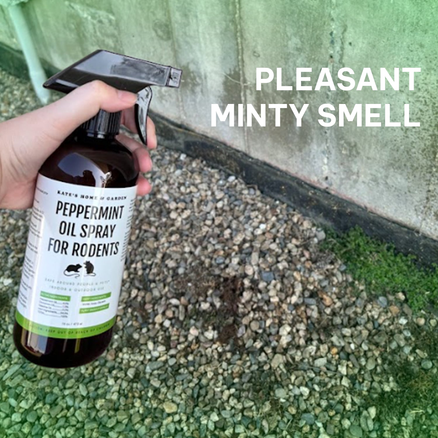 peppermint oil garden spray Rodent Repellent Spray with Peppermint Oil