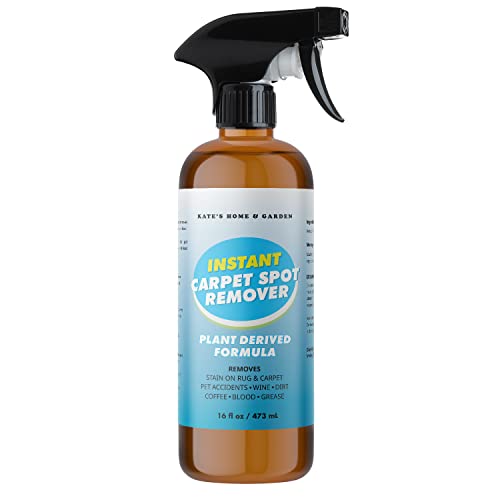 Carpet Stain and Odor Remover
