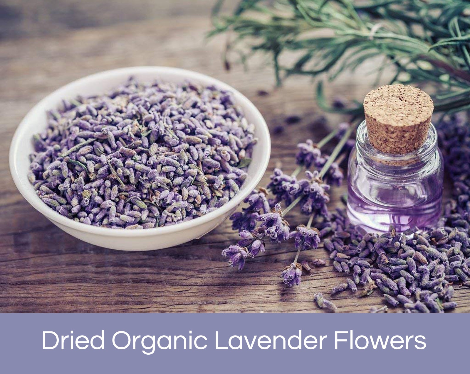 Organic Dried Lavender Flowers – Kate Naturals